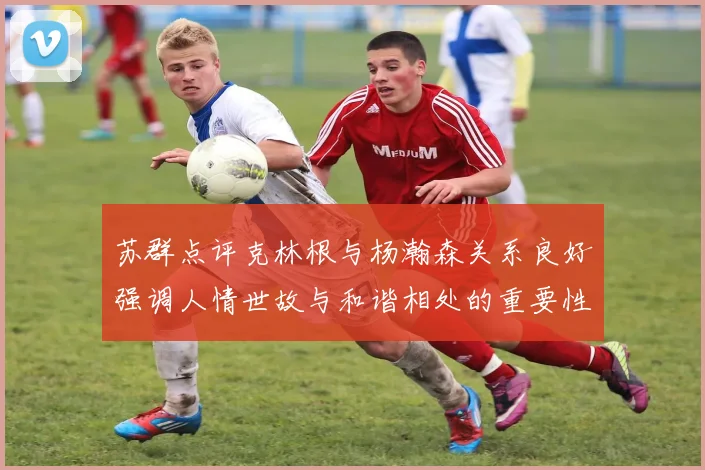 苏群点评克林根与杨瀚森关系良好强调人情世故与和谐相处的重要性