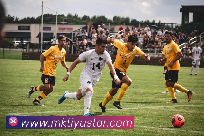 多媒体互动体验